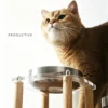 304 Stainless Steel Acrylic Elevated Pet Bowl 6.8 oz