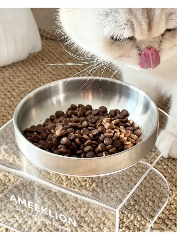 304 Stainless Steel Pet Bowl with Acrylic Stand 6.8 Ounces