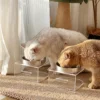 304 Stainless Steel Pet Bowl with Acrylic Stand 6.8 Ounces