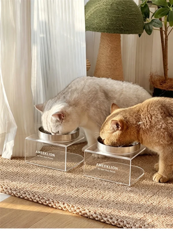 304 Stainless Steel Pet Bowl with Acrylic Stand 6.8 Ounces