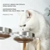 304 Stainless Steel Acrylic Raised Pet Bowl 6.8oz×2