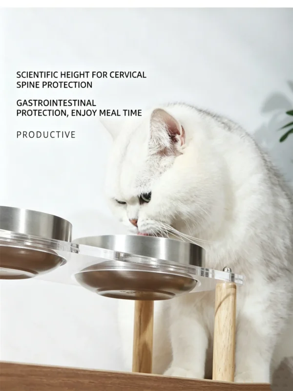 304 Stainless Steel Acrylic Raised Pet Bowl 6.8oz×2