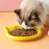 图片尺寸调整与翻译 (4)_副本-compressed Macaron cat food, cat canned food bowl