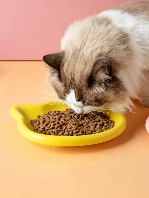 图片尺寸调整与翻译 (4)_副本-compressed Macaron cat food, cat canned food bowl