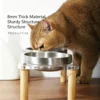 304 Stainless Steel Acrylic Raised Pet Bowl 6.8oz×2