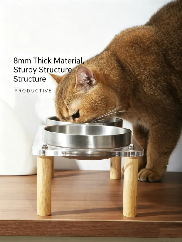 304 Stainless Steel Acrylic Raised Pet Bowl 6.8oz×2