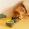 Ceramic Wooden Frame Pet Premium Food and Water Bowl 13.5-28.7oz