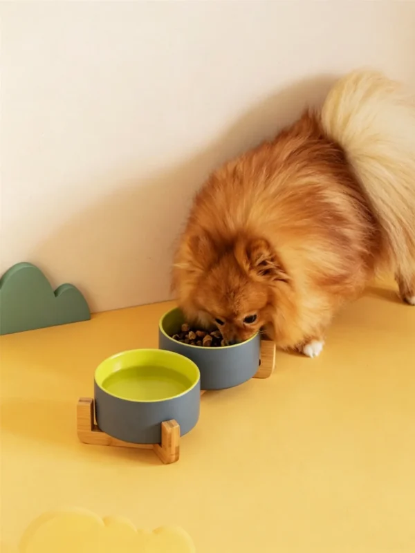 Ceramic Wooden Frame Pet Premium Food and Water Bowl 13.5-28.7oz