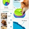 Pet Slow Feeder Turntable 3 Layers 10×10in