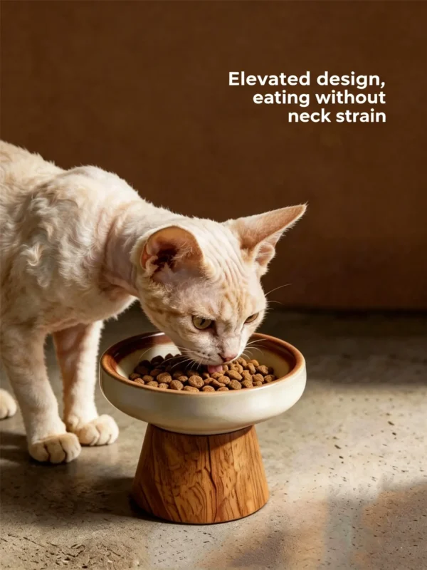图片尺寸调整与翻译 (8)_副本-compressed Ceramic bowl with oak base, suitable for both cats and dogs