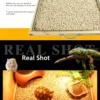 Corn cob bedding for deodorizing reptiles