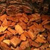 图片比例调整 (6)_副本-compressed Reptile Habitat Bark