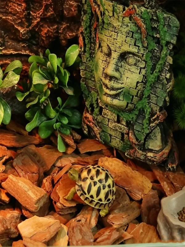 图片比例调整 (7)_副本-compressed Reptile Habitat Bark