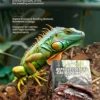 图片比例调整_副本-compressed 5L All-Season Reptile Insulation Pad