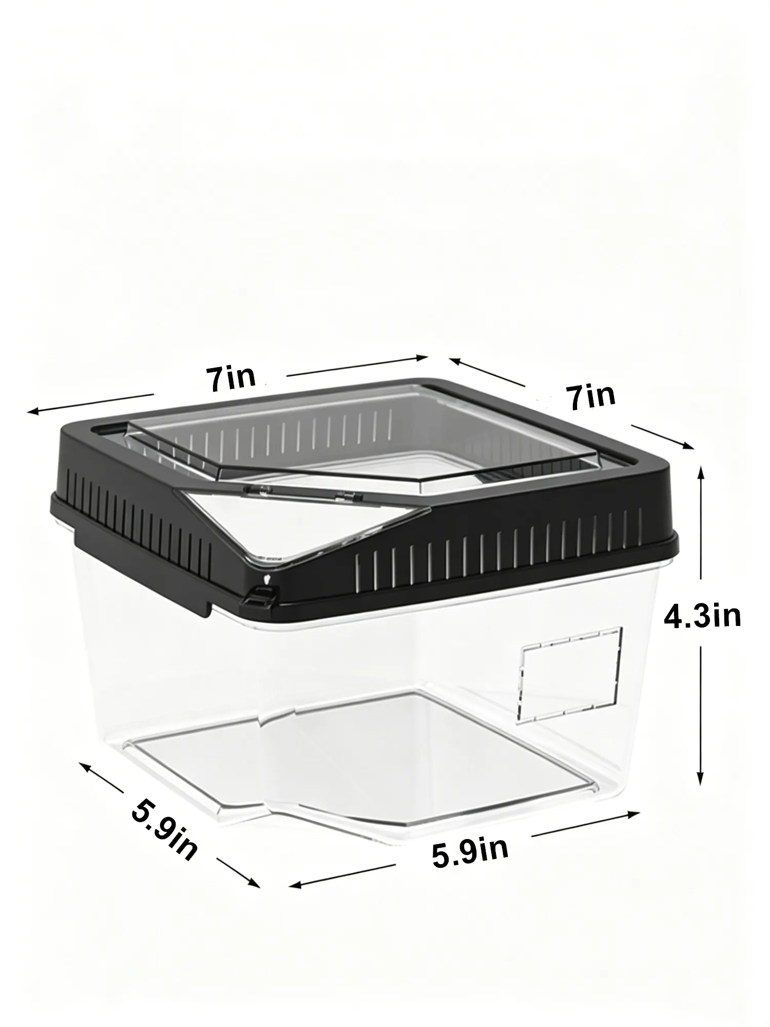 Black lid