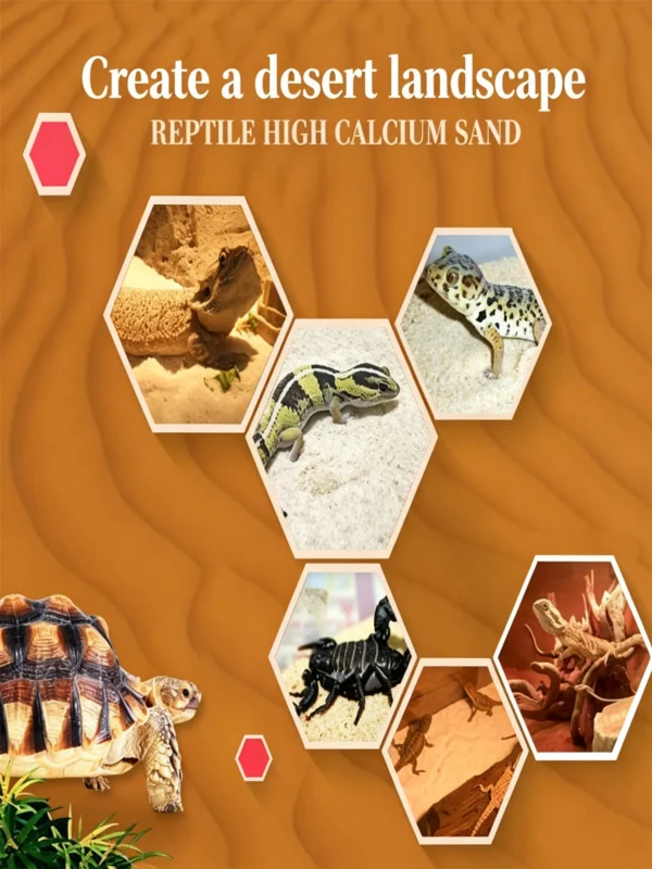 Calcium Sand for Reptiles