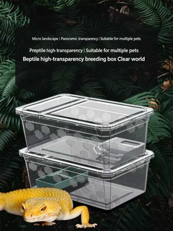 Small Reptile Transparent Ventilated Breeding Box