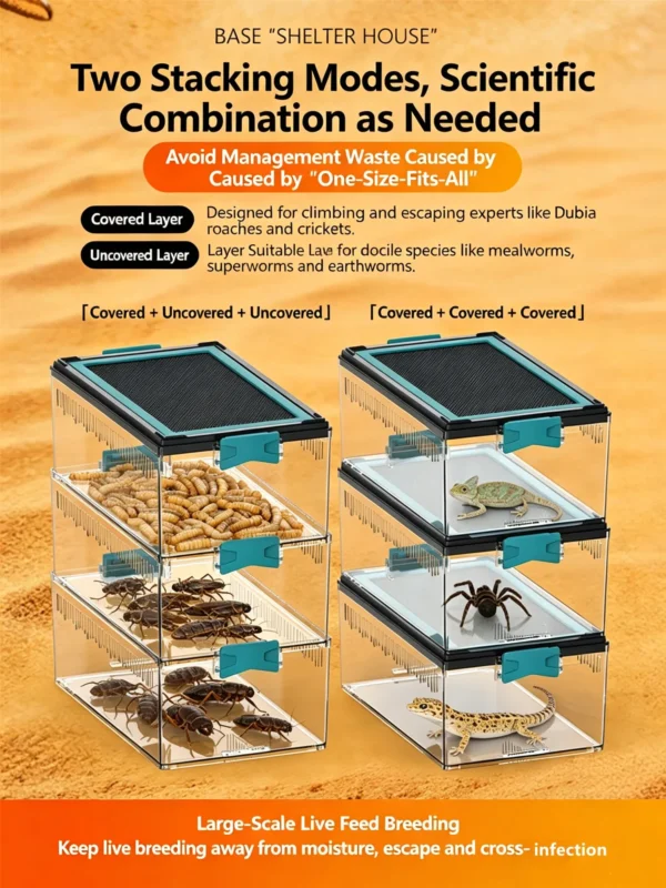 图片比例调整与翻译 (2)_副本-compressed Reptile acrylic transparent ventilated terrarium