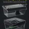 图片比例调整与翻译 (2)_副本-compressed Reptile acrylic transparent ventilated terrarium