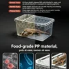 Small Reptile Transparent Ventilated Breeding Box