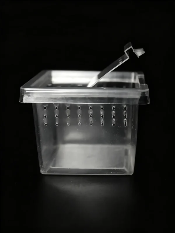 Small Reptile Transparent Ventilated Breeding Box