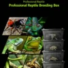 图片比例调整与翻译 (3)_副本-compressed Small Reptile Transparent Ventilated Breeding Box