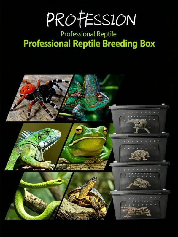 图片比例调整与翻译 (3)_副本-compressed Small Reptile Transparent Ventilated Breeding Box
