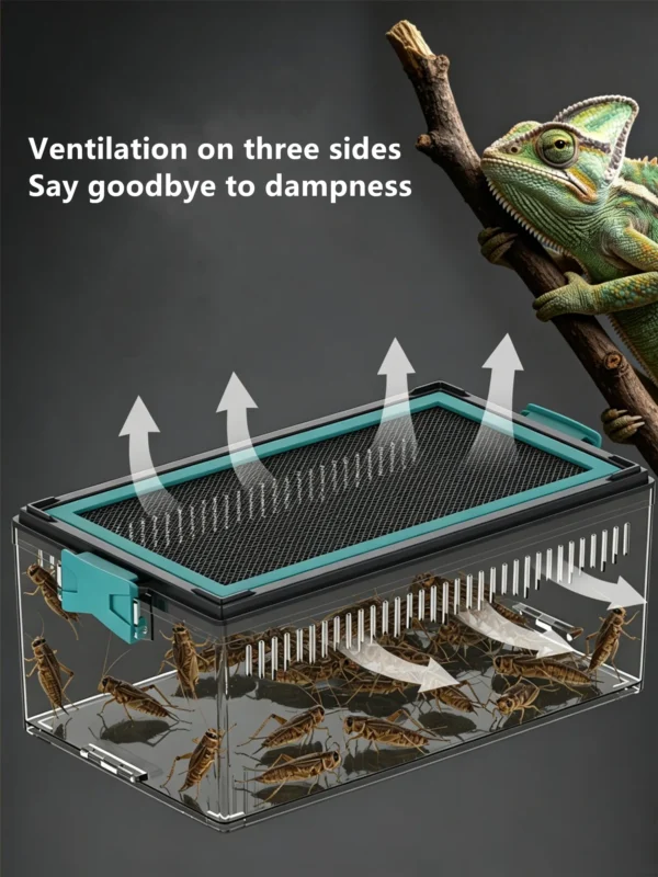 图片比例调整与翻译 (3)_副本-compressed Reptile acrylic transparent ventilated terrarium