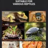 Small Reptile Transparent Ventilated Breeding Box