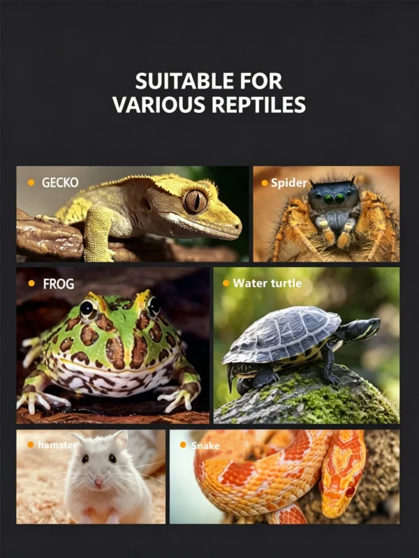 Small Reptile Transparent Ventilated Breeding Box