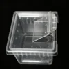 Small Reptile Transparent Ventilated Breeding Box