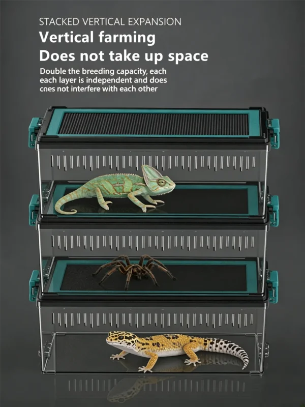 图片比例调整与翻译 (4)_副本-compressed Reptile acrylic transparent ventilated terrarium
