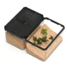图片比例调整与翻译 (4)_副本-compressed Reptile Double-Door Magnetic Acrylic Terrarium