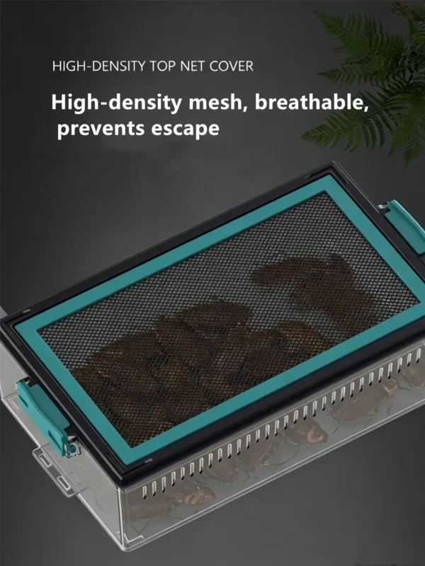 图片比例调整与翻译 (5)_副本-compressed Reptile acrylic transparent ventilated terrarium