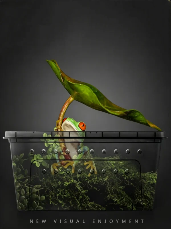 图片比例调整与翻译 (5)_副本_副本-compressed Small Reptile Transparent Ventilated Breeding Box