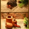 Calcium Sand for Reptiles