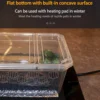 Small Reptile Transparent Ventilated Breeding Box