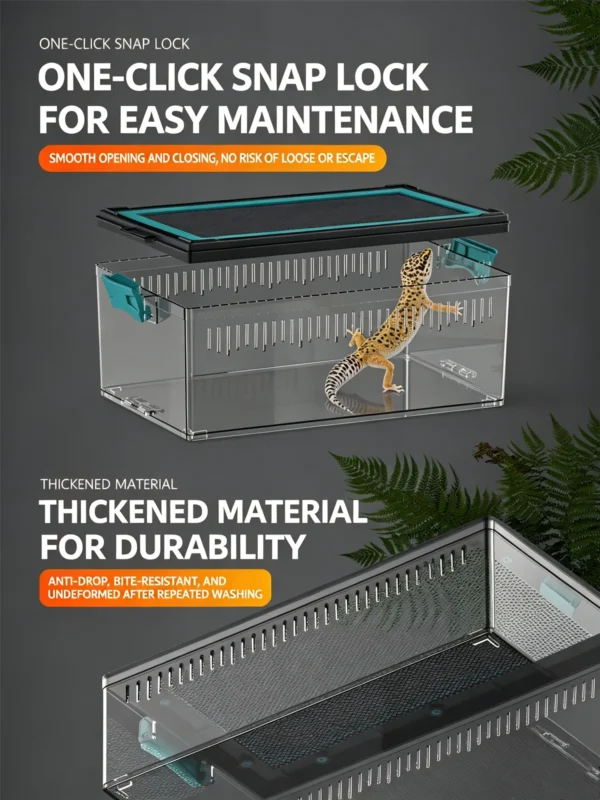 图片比例调整与翻译 (6)_副本-compressed Reptile acrylic transparent ventilated terrarium