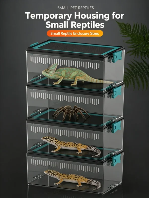 图片比例调整与翻译 (7)_副本-compressed Reptile acrylic transparent ventilated terrarium
