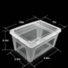 图片比例调整与翻译_副本-compressed Small Reptile Transparent Ventilated Breeding Box