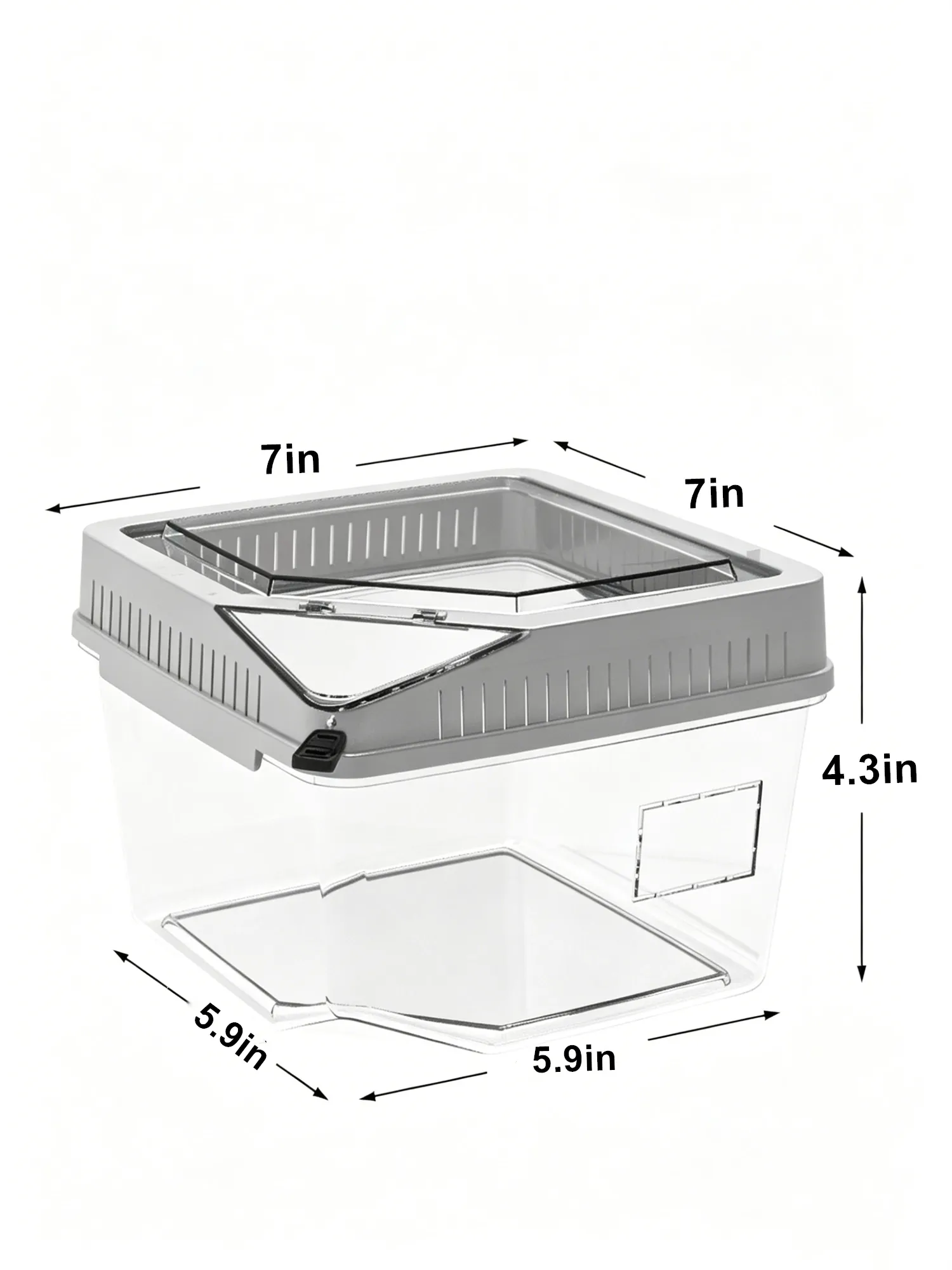 White lid
