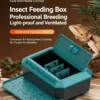 图片比例调整与翻译_副本8 Reptile professional breeding box