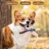 提炼产品4大卖点 (4)_副本-compressed Squeaky Teething Plush Toy for Puppies & Kittens