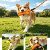 ETPU Bone-Shaped Pull Rope Toy – Interactive Training Toy for Dogs