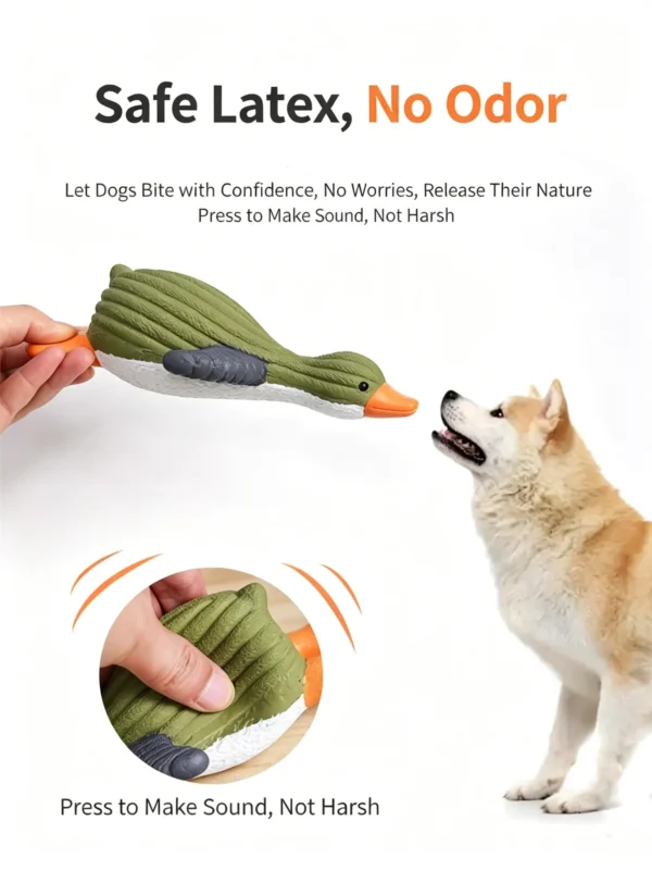 提炼产品4大卖点 (5)_副本-compressed Latex Squeaky Self-Play Toy for Dogs – Interactive & Durable
