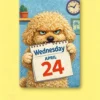 Custom Pet Gifts-compressed Pet fridge magnet