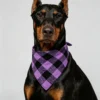 Dog bandana (7) Classic checkered dog bandana
