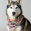 Halloween-themed dog bandana
