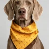 Pet scarf, dog scarf (2) Color-Block Fashion Dog Bandana