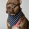 Pet scarf, dog scarf, drool scarf (5) USA flag dog bandana